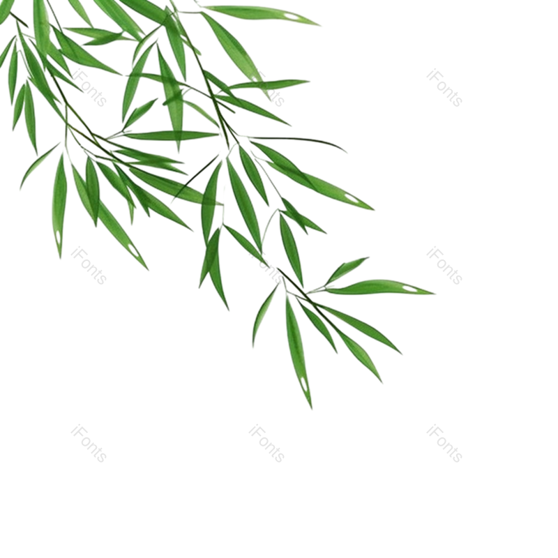绿叶图片,树叶元素,春季PNG,春天免抠素材
